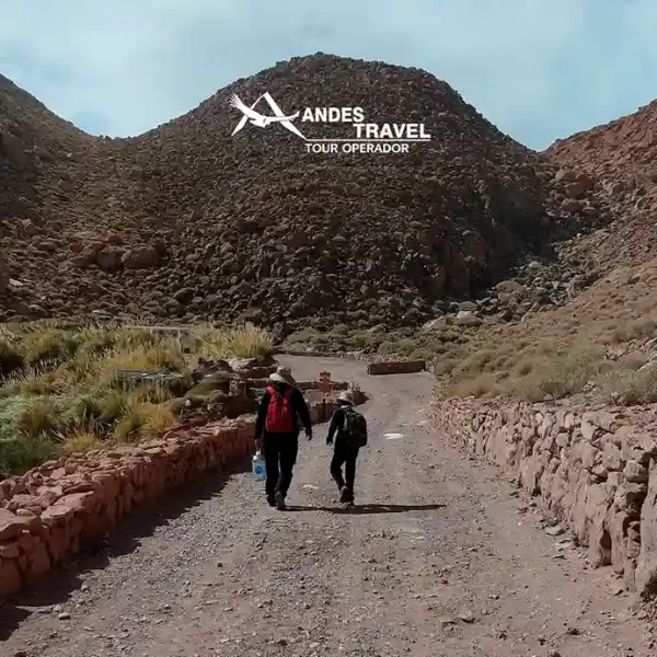 Traslado a Termas de Puritama - Imagen 2