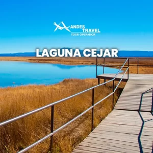 Laguna Cejar, Laguna Tebenquiche y Ojos del Salar